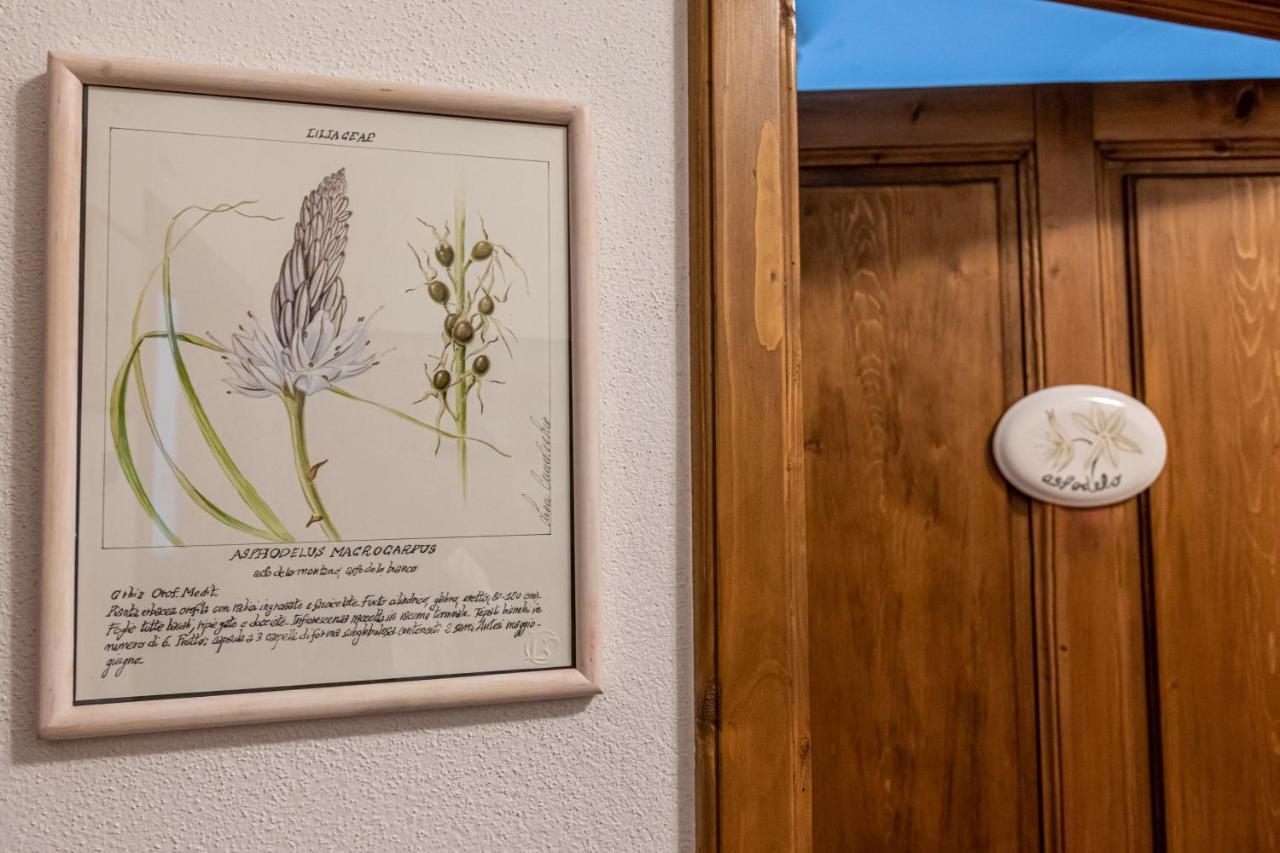 La Locanda Di Adele - Il Giardinetto B&B Scarperia Exteriér fotografie